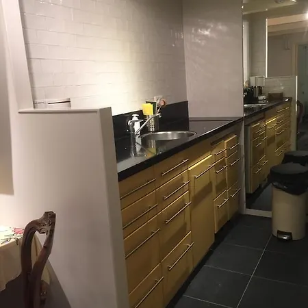 Gæstehus Luxurious 17c Canal Apt - Low Cost Parking Amsterdam